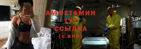 сатива Верея