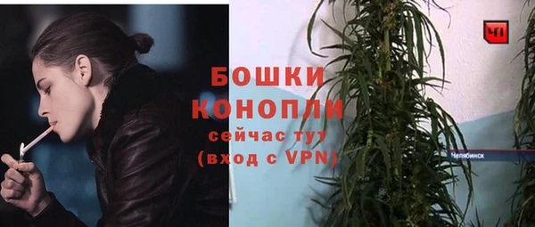 сатива Верея