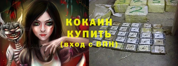 сатива Верея
