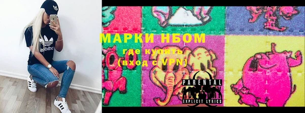 сатива Верея