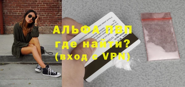 сатива Верея