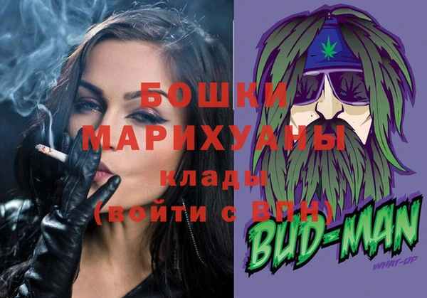сатива Верея
